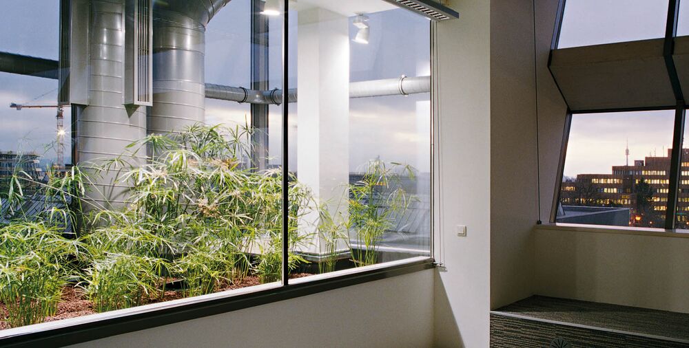 Skutečně blahodárné: zazelenění zkrášluje prostředí a zlepšuje ovzduší.